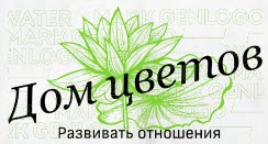 Интернет-витрина Интернет-витрина