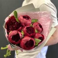 Букет из 7 бордовых пионов
