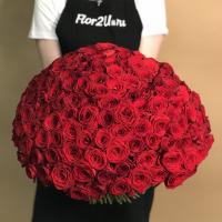 Букет из 201 красной розы (50 см)